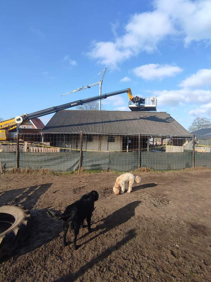 Restauratie hondenverblijf Weerselo foto